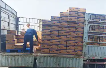 Низ колку контролни пунктови мора да помине палачинката со тестенини Мала Танг (зачинета топла тенџере) пред да се натовари на камион во Шенјанг?